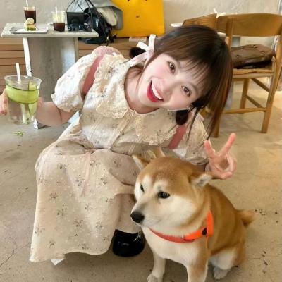 淘气托托大冒险